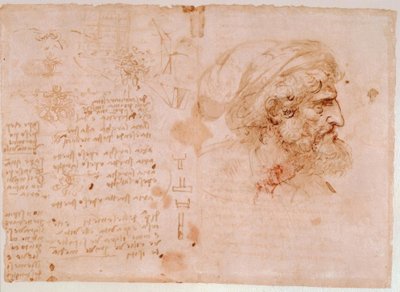 Estudios de ornamento de hojas / Retrato de perfil de un anciano... de Leonardo da Vinci